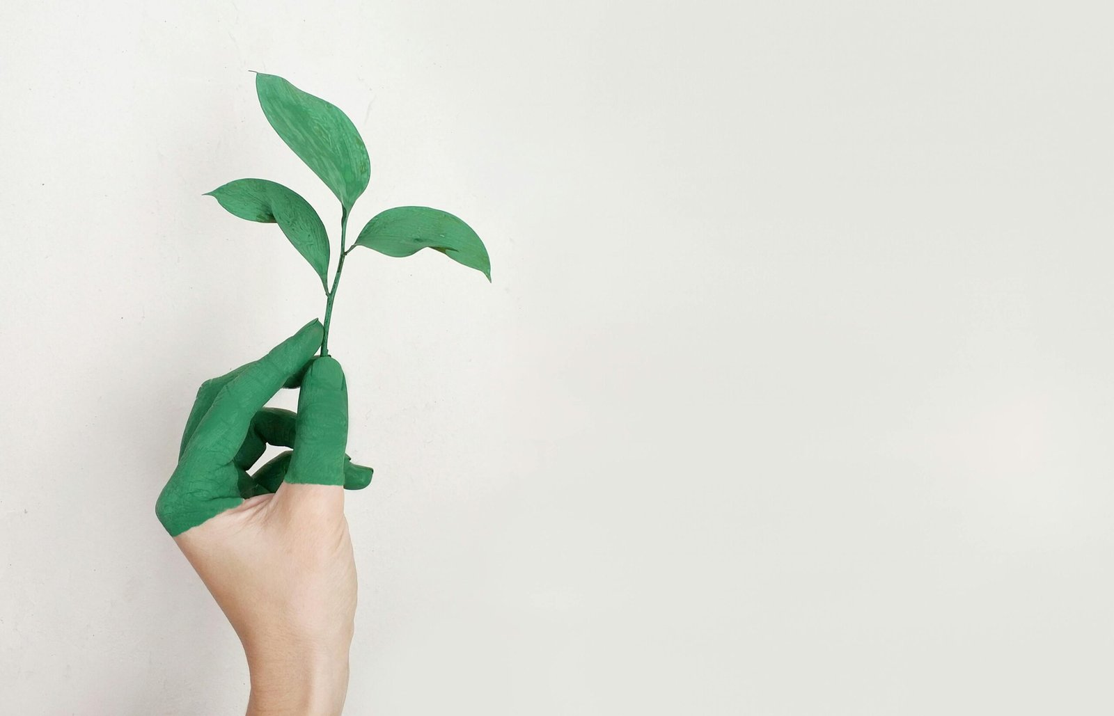 Corporate Social Responsibility - Environment