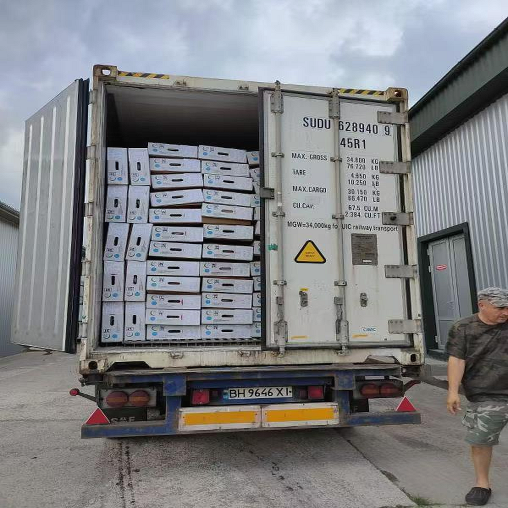 Ukraine Beef Loading